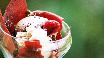 Meyveli Dondurma Nasıl Yapılır?